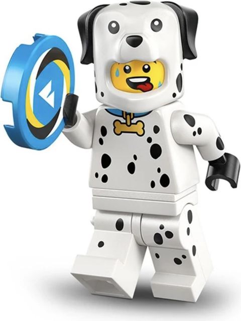 Dalmation